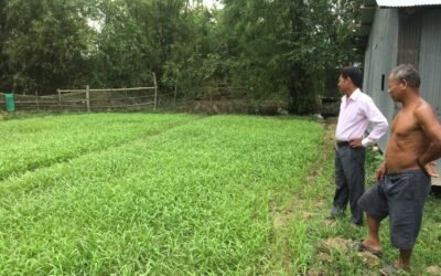 កសិកម្ម