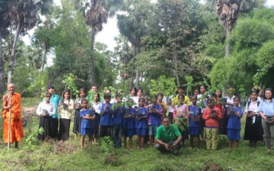 ONE TREE ONE SCHOLARSHIP