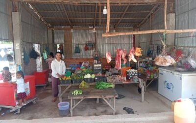 SUCCESSFUL FARMER WITH MICRO-CREDIT
