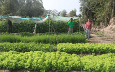 AGRICULTURE